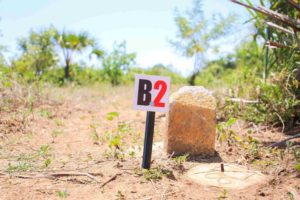 Read more about the article Your 9 step-by-step guide to buying land in Kenya