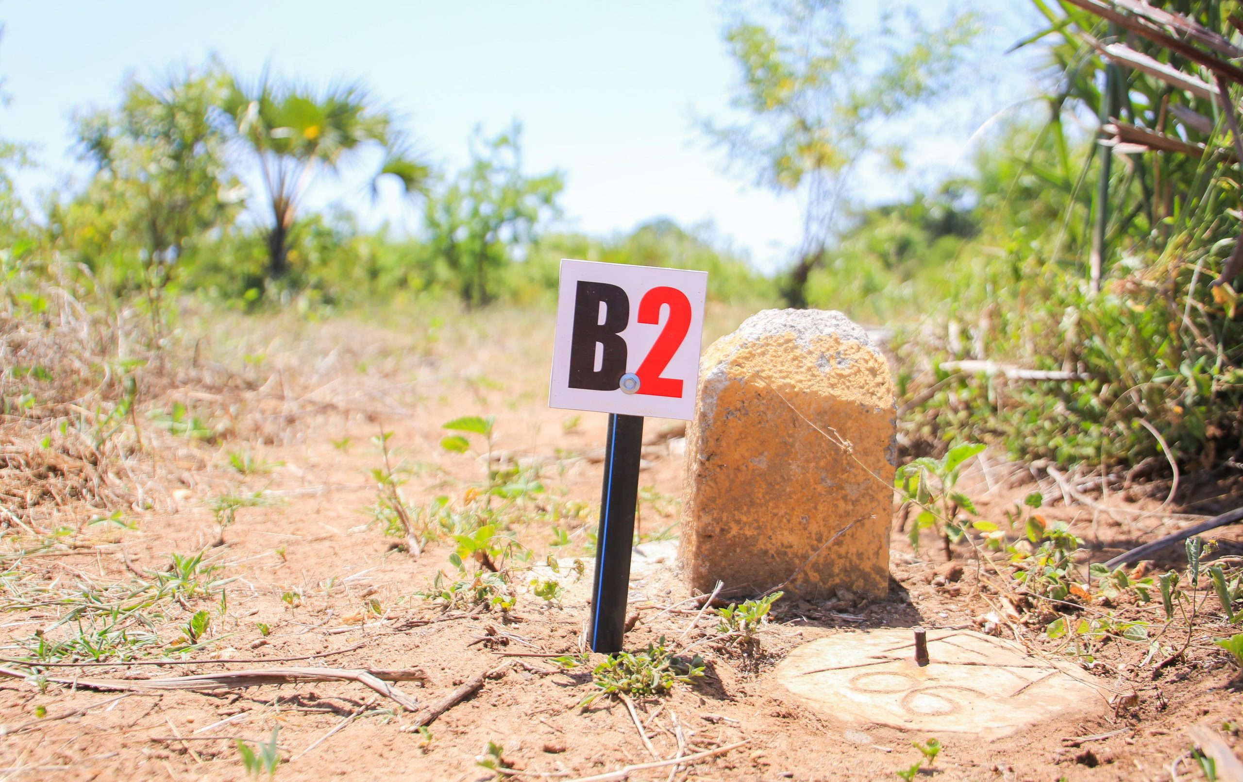 S2: The Shamba Kuruwitu, Vipingo 