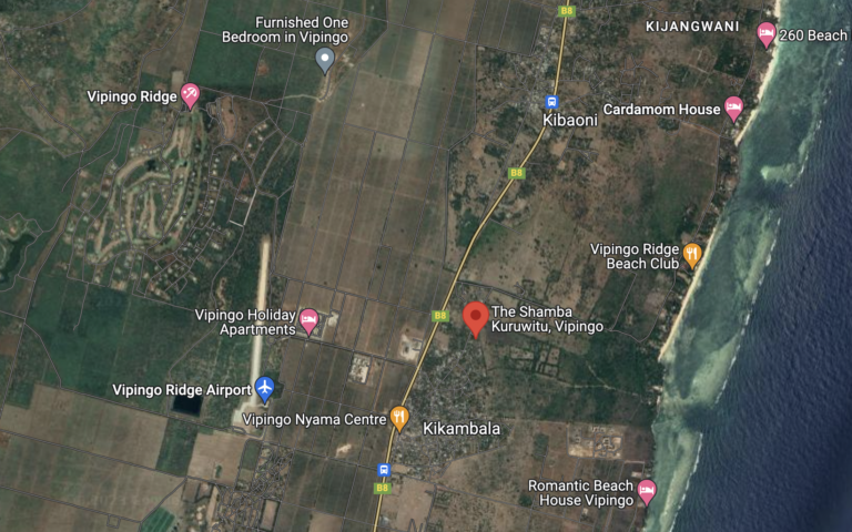 The Shamba Kuruwitu, Vipingo