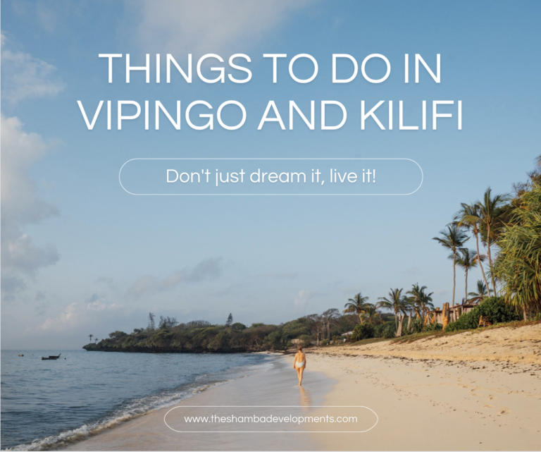 Read more about the article Things To Do In Vipingo, Kilifi, and the Surrounding Area